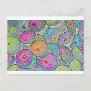 Cartão Postal Pastal Art
