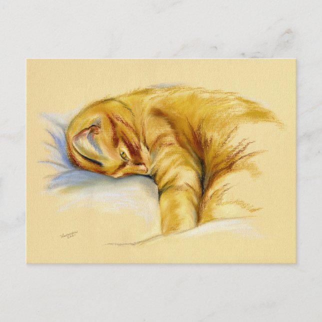 Cartão Postal Pastel Gato - Comprimido Laranja Dose Relaxada (Frente)