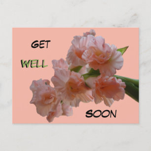 Cartão Postal Pastel Gladioli Cust. Cartão-postal em breve