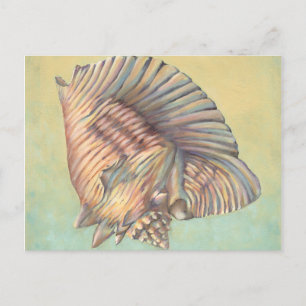 Cartão Postal Pastel Grande Shell de Conch