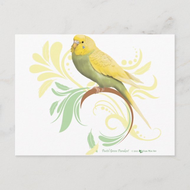 Cartão Postal Pastel Green Parakeet (Frente)