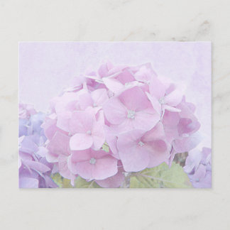 Cartão Postal Pastel Hydrangea Flowers