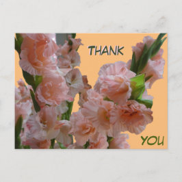 Cartão Postal Pastel Orange Pink Gladioli Obrigado Cartão-Postal