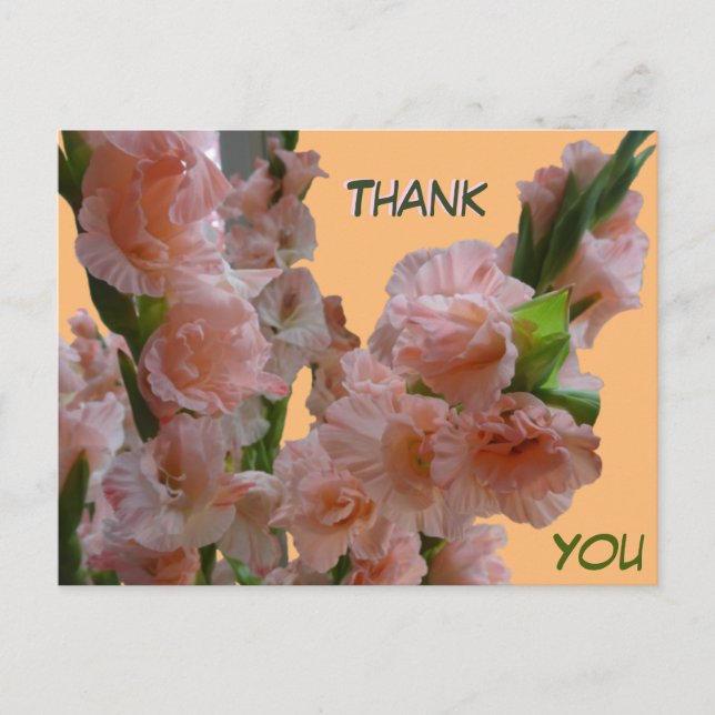 Cartão Postal Pastel Orange Pink Gladioli Obrigado Cartão-Postal (Frente)