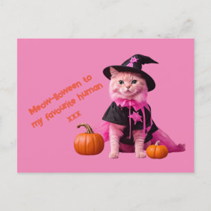 Cartão Postal Pasto de gato rosa-claro