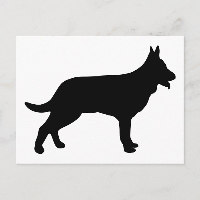 Cartão Postal Pastor (Frente)