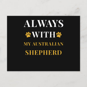 Cartão Postal Pastor australiano
