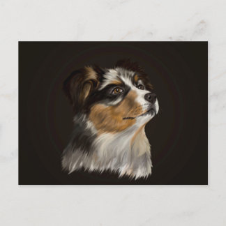 Cartão Postal Pastor australiano - Aussie Puppy