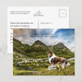 Cartão Postal Pastor Sable Rough Collie - Coletor
