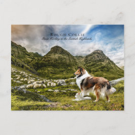 Cartão Postal Pastor Sable Rough Collie - Coletor