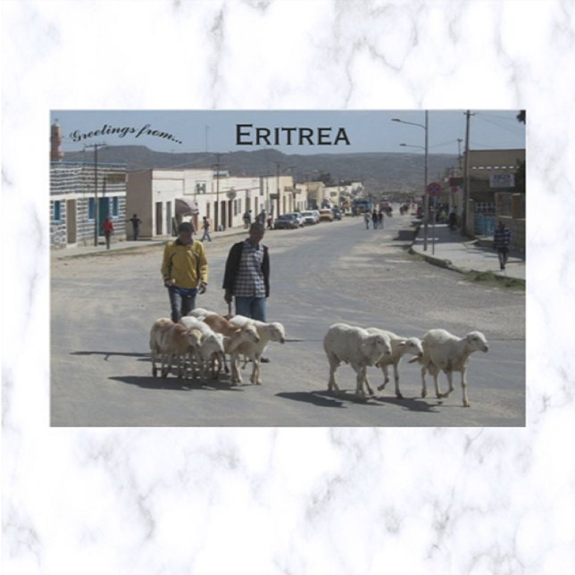 Cartão Postal Pastores e seu bando em Dekemhare Eritreia (Criador carregado)