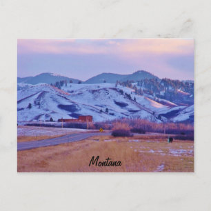 Cartão Postal Pata do Urso