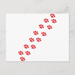 Cartão Postal Patas de Gato