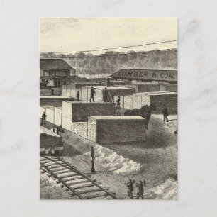 Cartão Postal Pátio da filial, Princeton Lumber & Improvement Co