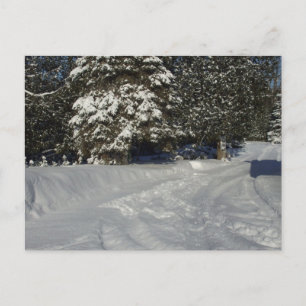 Cartão Postal Pátio de neve do país