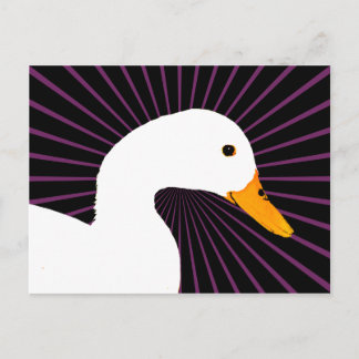 Cartão Postal Pato Branco Pop Art