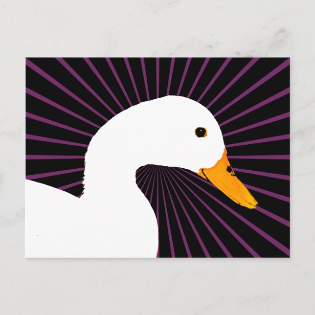 Cartão Postal Pato Branco Pop Art (Frente)