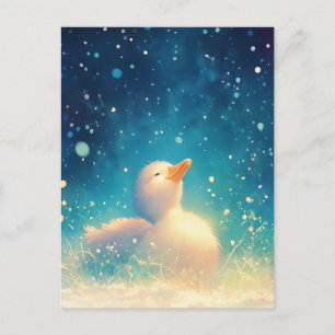 Cartão Postal Pato Branco sob o Céu Estrelado de Inverno