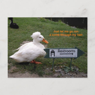 Cartão Postal Pato da sala de resto