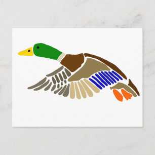 Cartão Postal Pato de Mallard Artístico em Arte de Voo