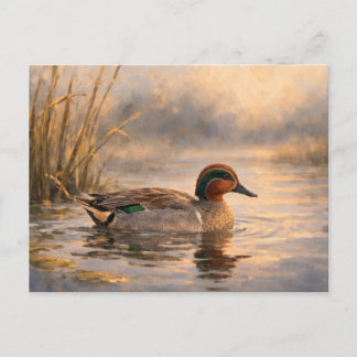 Cartão Postal Pato de Pântano | Arte de Vida Selvagem Costeira |