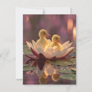 Cartão Postal Patos Adoráveis em Flor de Água