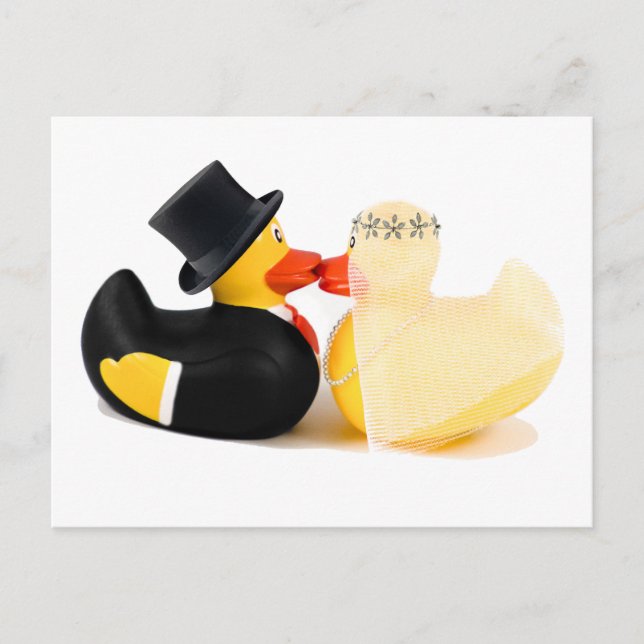 Cartão Postal Patos de casamento 3 (Frente)