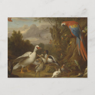 Cartão Postal Patos-de-Macaw e outras aves em Landsca