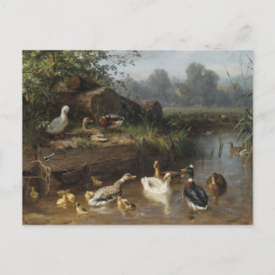 Cartão Postal Patos do Stream de Carl Jutz
