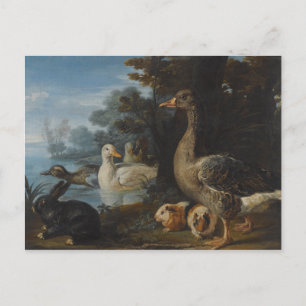 Cartão Postal Patos-Guiné e um coelho em uma Paisagem Wooded