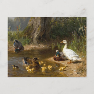 Cartão Postal Patos junto à água por Carl Jutz