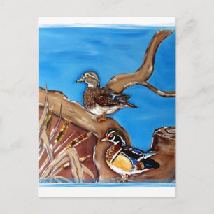 CARTÃO POSTAL PATOS-MANDARIM
