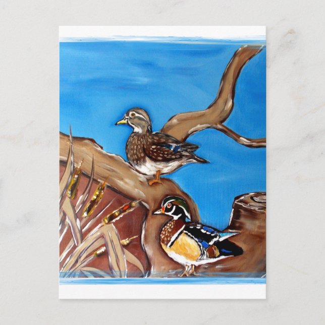 CARTÃO POSTAL PATOS-MANDARIM (Frente)