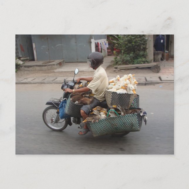 Cartão Postal Patos na moto-Vietname (Frente)