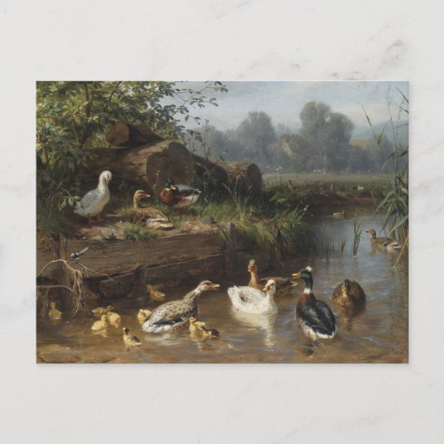 Cartão Postal Patos pelo riacho por Carl Jutz (Frente)