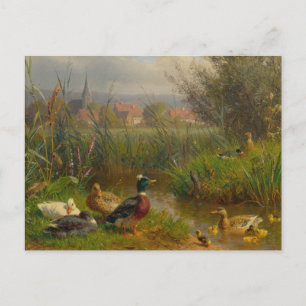 Cartão Postal Patos por Carl Jutz