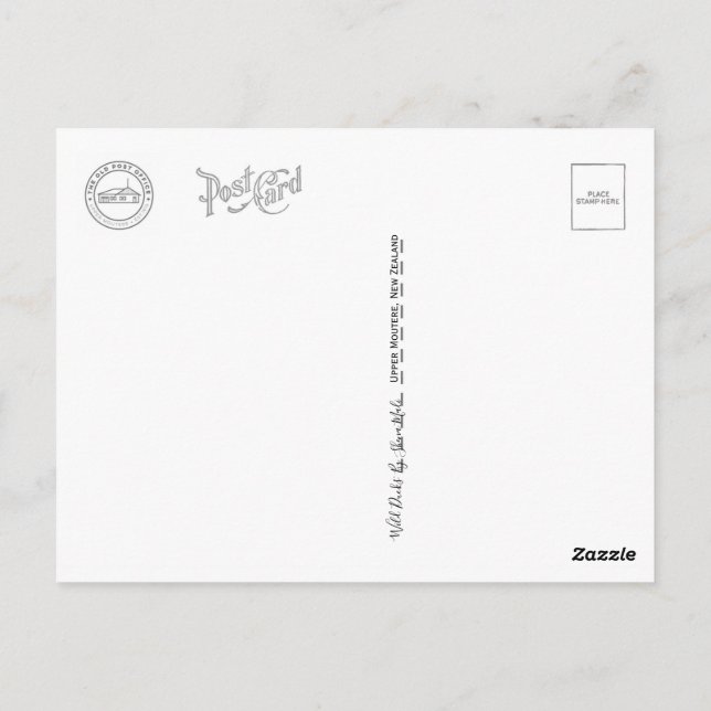 Cartão Postal Patos Selvagens (Verso)