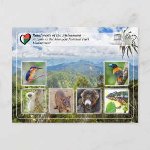 Cartão Postal Patrimônio Mundial da UNESCO - Atsinanana - Parque