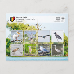 Cartão Postal Patrimônio Mundial da UNESCO - Aves no Delta do Da