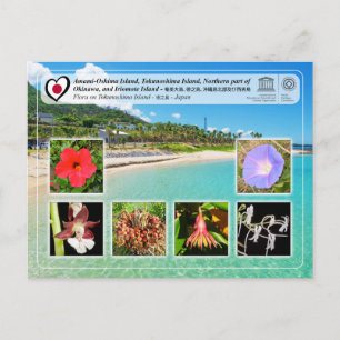 Cartão Postal Patrimônio Mundial da UNESCO - Ilha de Tokunoshima
