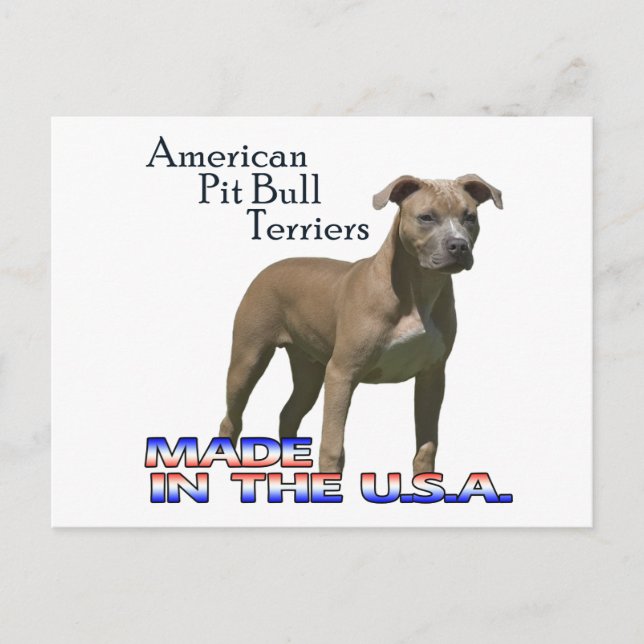 Cartão postal Patriot American Pit Bull Terrier (A (Frente)