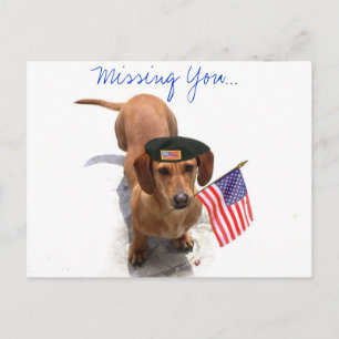 Cartão postal Patriótico de Dachshund