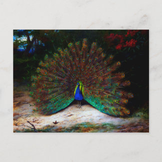 Cartão Postal Pavão e Borboleta Pavão