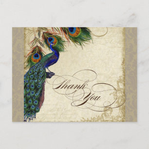 Cartão Postal Pavão e Penas Formais Obrigado Nota Azul Aqua