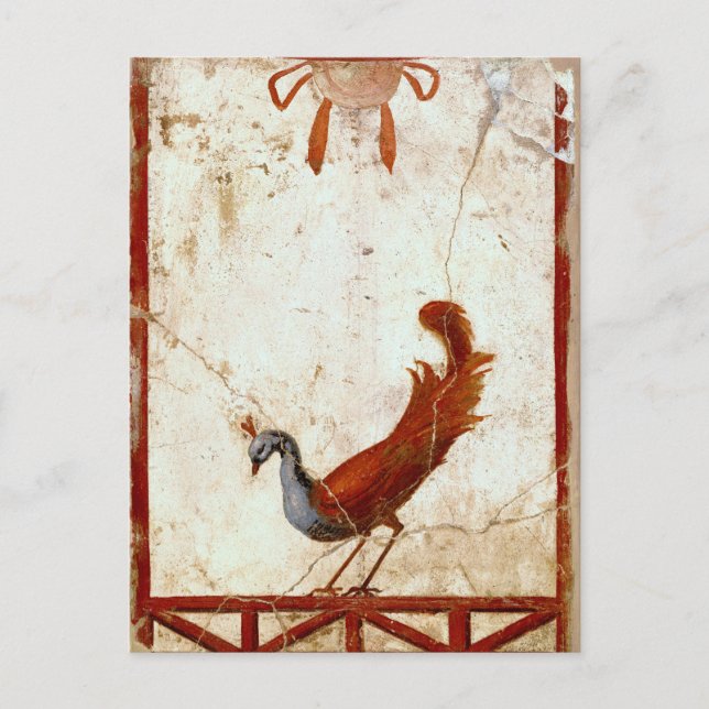 Cartão Postal Pavão na antiga pintura antiga romana romana de Fr (Frente)