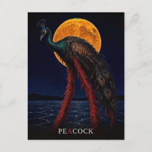 Cartão Postal Pavão Pernas Brilhantes gótico Surrealista