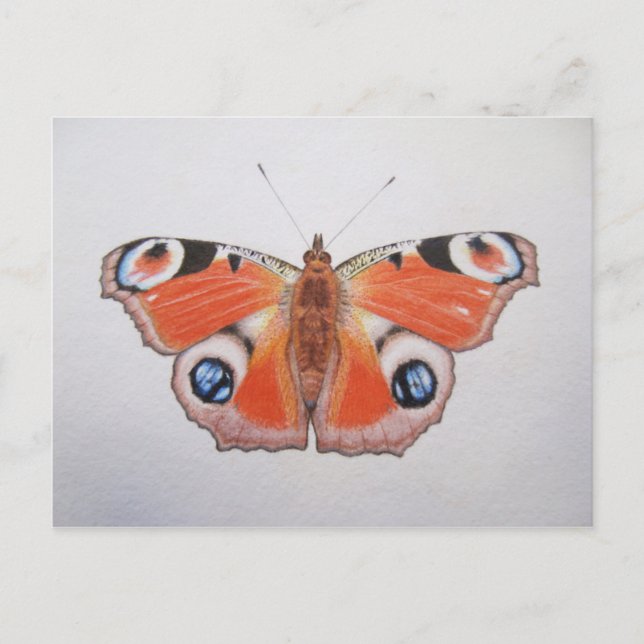 Cartão Postal Pavock Butterfly 2012 (Frente)