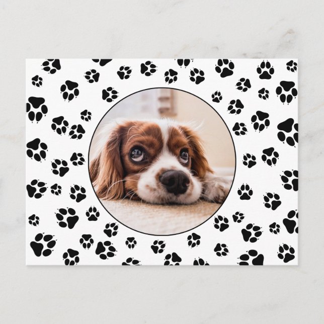 Cartão Postal Pawprint Puppy Photo (Frente)