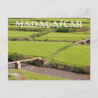 Cartão Postal Paysage de rizières à Madagascar