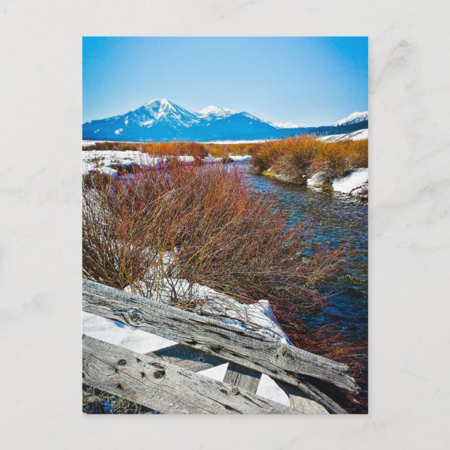 Cartão Postal Paz (Frente)